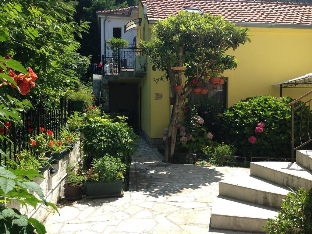 Apartments Matkovic Kotor Room photo